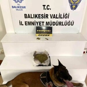 balikesirde 485 gram esrar ele gecirildi C4tqcZgP
