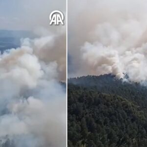 sinoptaki orman yanginina havadan mudahale basladi ZBxYyr8p