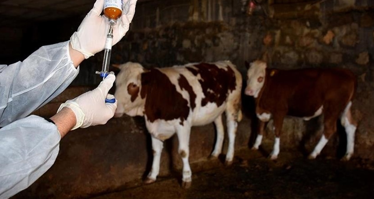 bir sehir sap alarmina gecti VUhnuPlP