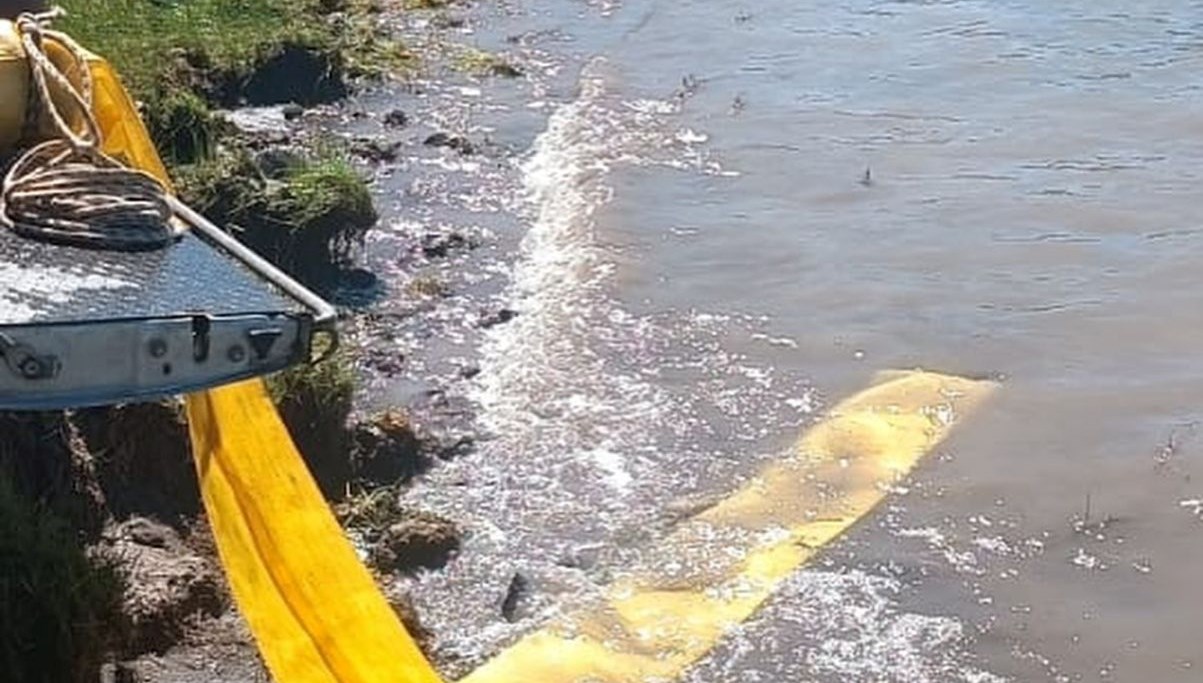 goletlere yavru baliklar birakildi UcF1rb7e