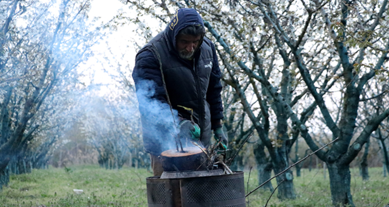tekirdagda zirai dondan etkilenen ciftcilere 46 milyon lira destekleme jqnQ77Jt
