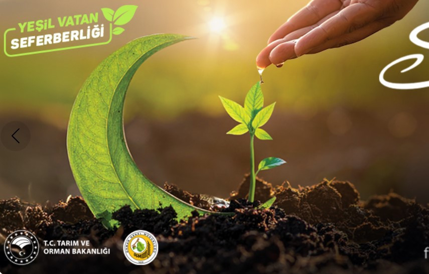 gelecege nefes fidan sahiplenme nasil yapilir 11 kasimda 81 ilde fidan dikimi yapilacak YPYiTSlN.jpg