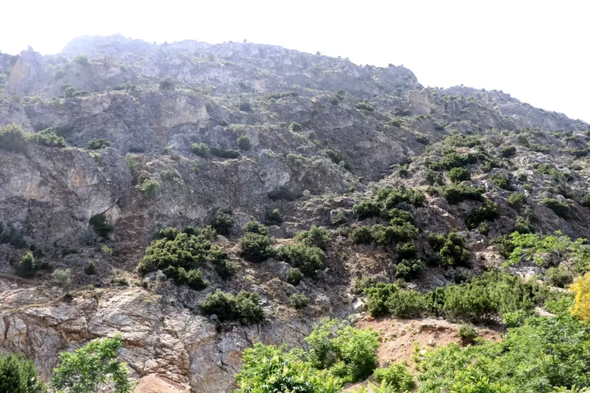 ispartada kaybolan 75 yasindaki adam icin arama calismalari baslatildi CcWVUc6j.jpg